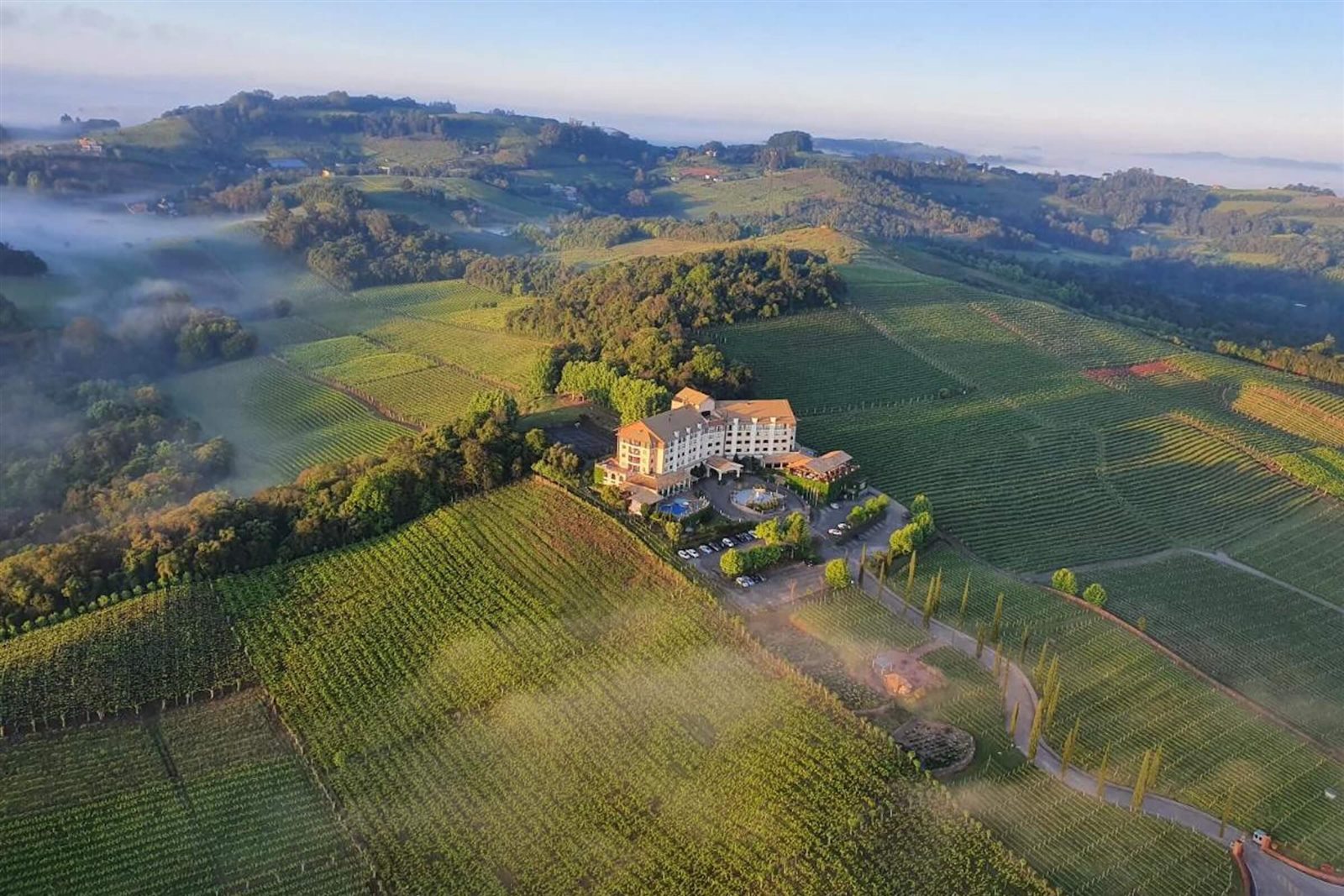 Wine sector